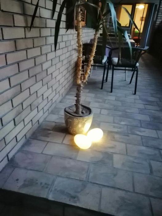 ホテル Citadela ソンボル エクステリア 写真
